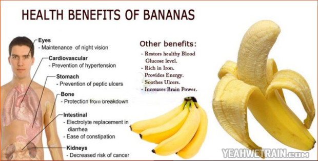 Health Benefits Of Bananas My Daily Magazine Art