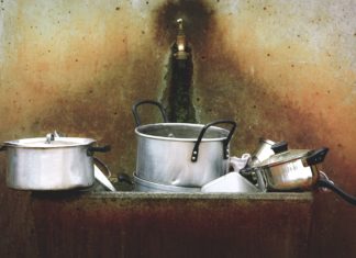 Dishing the Dirt of Your Home