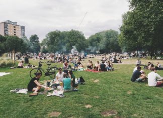 Here’s what you Need for a Perfect Picnic