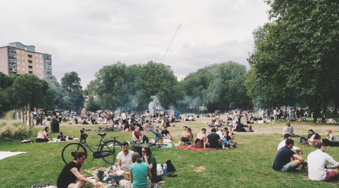 Here’s what you Need for a Perfect Picnic