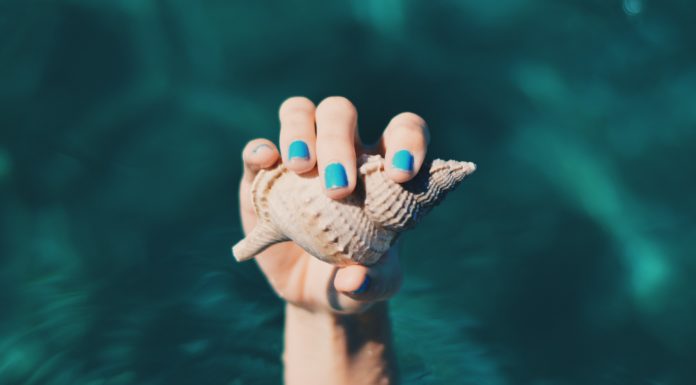 Seashells: A Trend Worth Checking Out