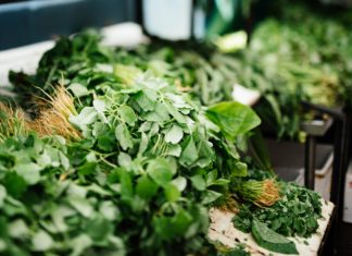 Vegetables You Should be Growing in Spring