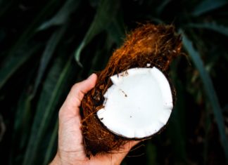Why Coconut Oil is the Only Beauty Product You Need