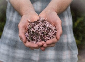 Easy Spice Blends To Make At Home