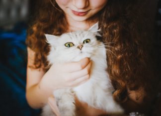 Top 5 Things Cats Simply Hate