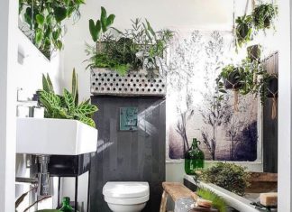Houseplant ideas for your bathroom