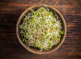 Grow Your Own Sprouts