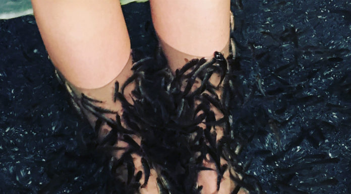 So what’s up with fish spa pedicures?