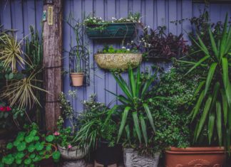 Layout ideas for townhouse gardens