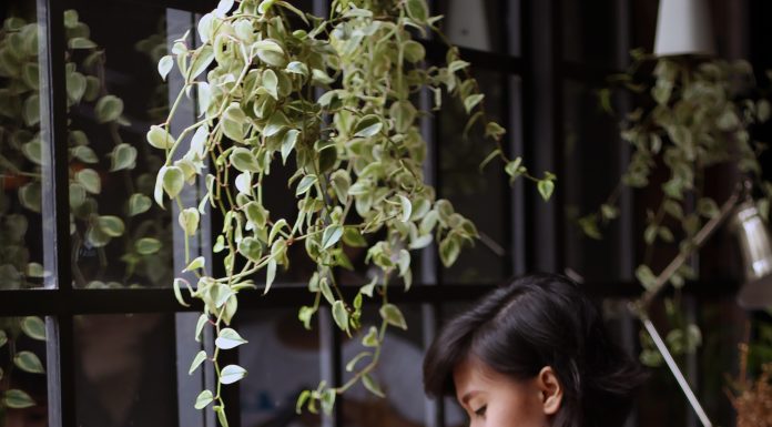 4 Small Things You Can Do Right Now for a Big Energy Boost