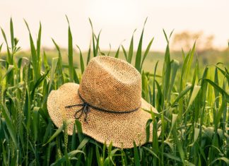 Hat Trends You Will See All Over Instagram This Summer
