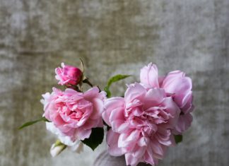 5 Modern Ways to Decorate With Flowers