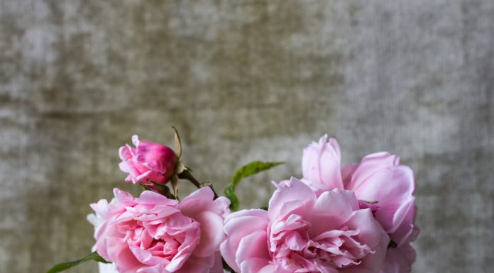 5 Modern Ways to Decorate With Flowers