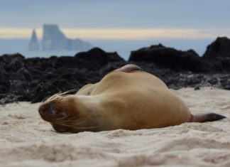 Best Destinations for Trip of a Lifetime