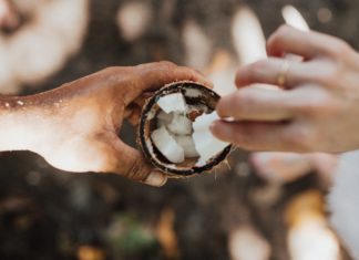 The Unusual Ways to Use Coconut Oil in Your Daily Life