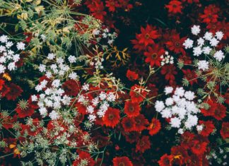 How To Decorate Your Space With Moody Floral Design