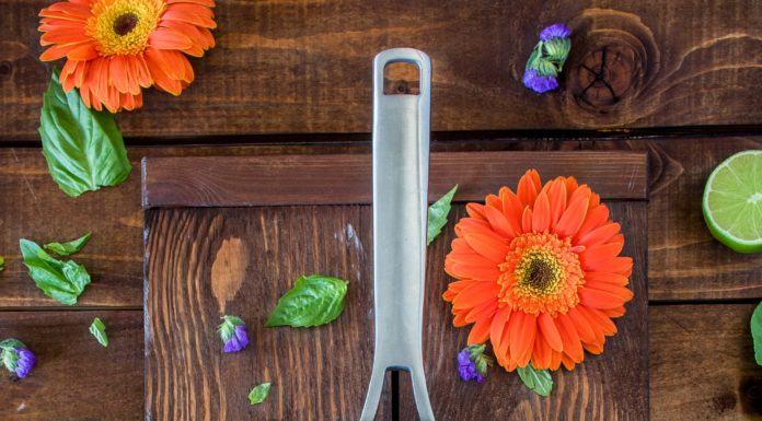 The Best Things to Eat on a Low-Carb Diet