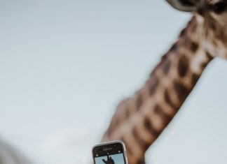 How to Take the Perfect Instagram Photo