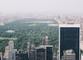 Take a Break From the Big City Inside These Parks