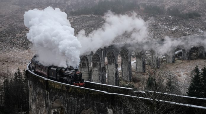 To Train or to Bus? That is The Question