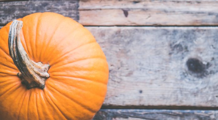 DIY Pumpkin Facial To Glow All Season Long