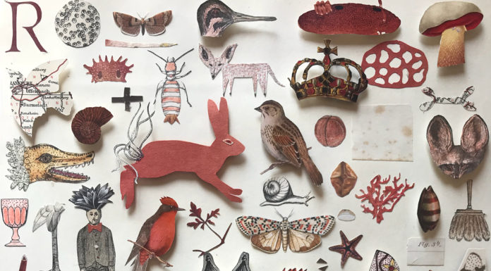 The Wonderful World of Artist Katie McCann