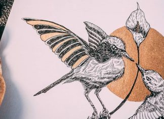 This Artist s Exploring His Love For Birds Through His Drawings