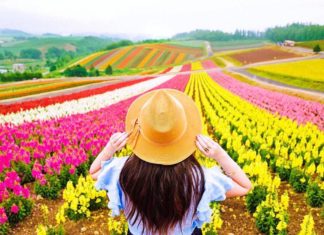 Hokkaido’s Magical Flower Fields Will Take You to Another World
