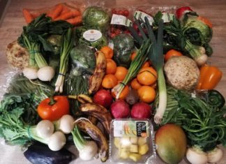 Would You Go Dumpster Diving?