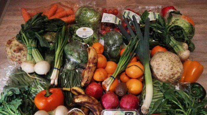 Would You Go Dumpster Diving?