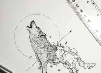 Nature Meets Geometry in These Intricate Animal Doodles