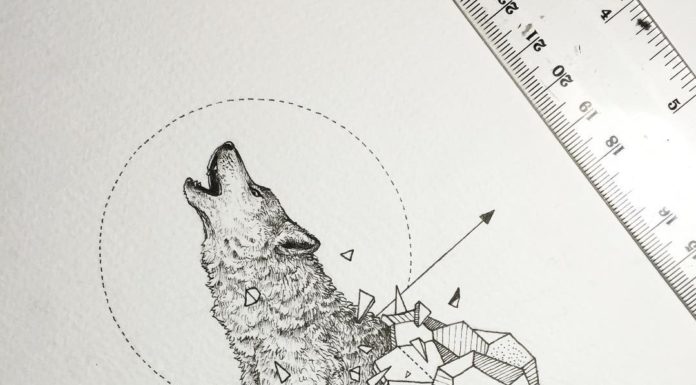 Nature Meets Geometry in These Intricate Animal Doodles