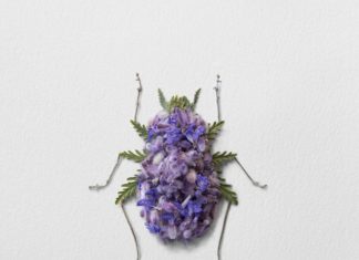 These Animal-Shaped Floral Arrangements Are As Realistic As They Get