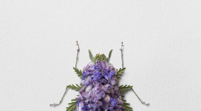 These Animal-Shaped Floral Arrangements Are As Realistic As They Get