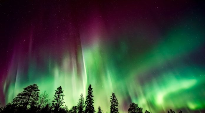 3 Tips To Follow When Hunting For Northern Lights