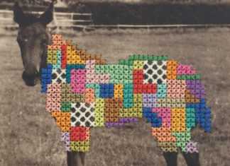 Artist Breathes New Life Into Vintage Postcards With Her Embroideries