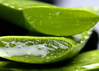All The Benefits of Aloe Vera For Your Skin