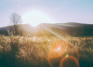 These Simple Tips Will Help You Wake Up Even If You’re Not a Morning Person