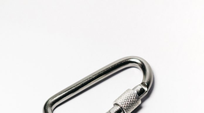 A Carabiner is Functional and Trendy!