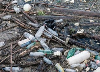 Does Picking Up Trash Really Help the Environment?