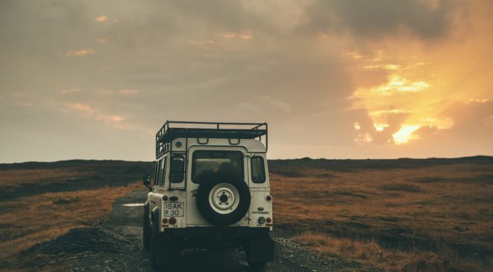 Healthy Snacks to Take on a Road Trip