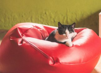 A Pouf Can Change a Room in More Ways Than One