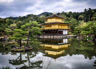 Japan Travel Guide – Things You Should Know Before You Travel