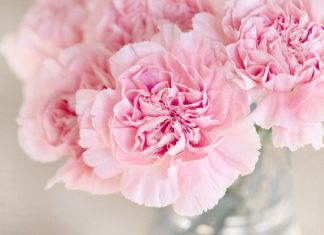 Pink Up Your Bedroom With These Gorgeous Ideas