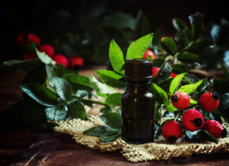 Rosehip Oil is Amazing for Your Skin