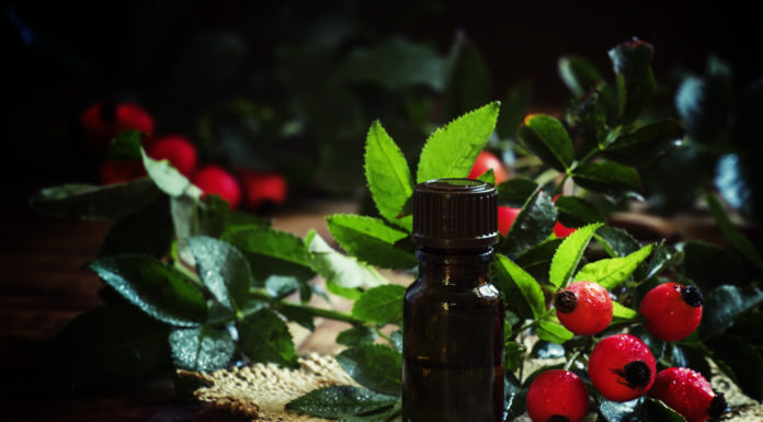 Rosehip Oil is Amazing for Your Skin