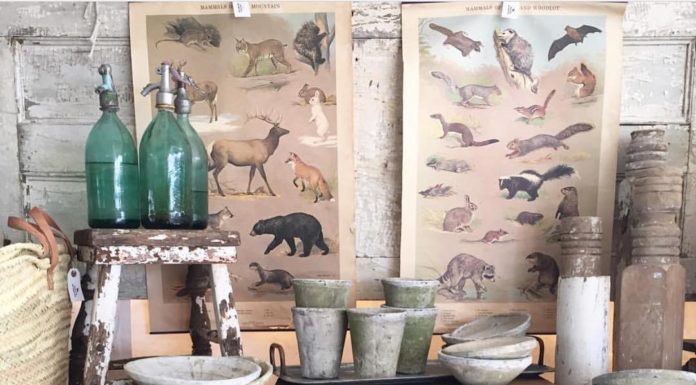 If You Love Flea Markets, Check Out the Oldest and Largest One in the United States!