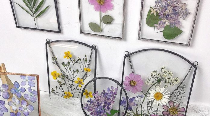 Tiny Framed Herbariums Are The Perfect Gift For Flower Lovers