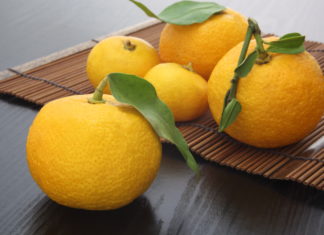 Yuzu Kosho is a Japanese Paste that Brings the Heat