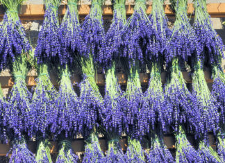 Design Your Own Flower Bundles